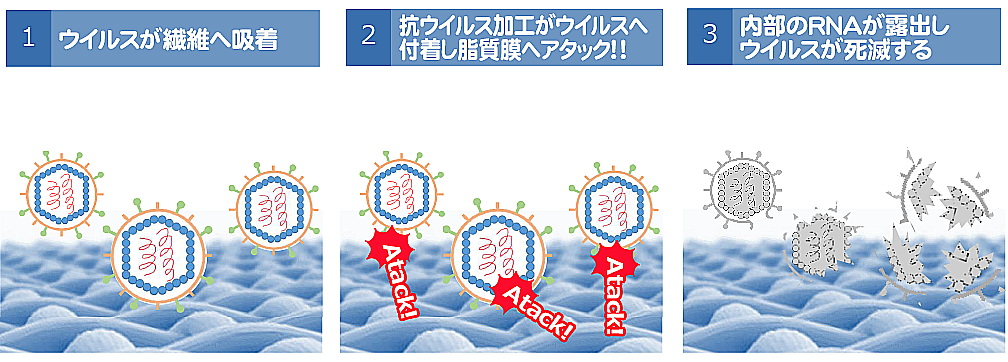 抗ウイルスならびに抗菌＋防臭加工